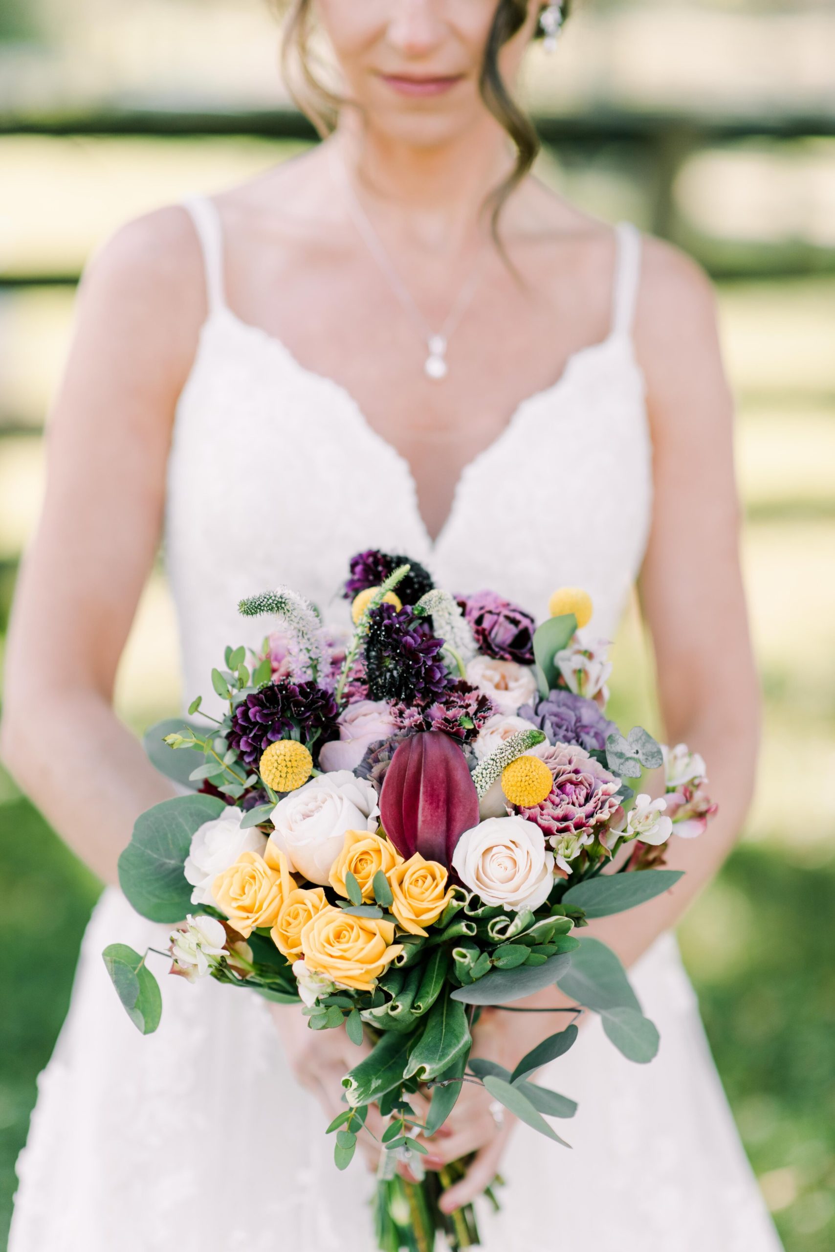 Fifty Flowers, Meredith Dickens Photography
